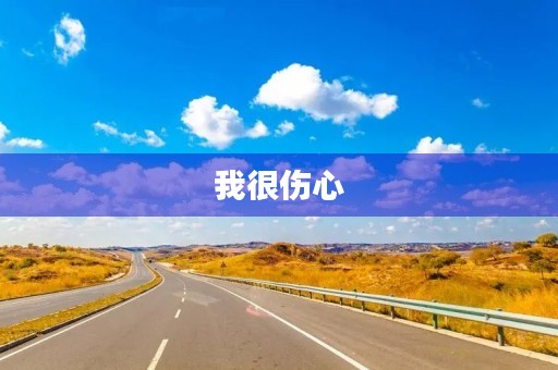 我很伤心，因为我失去了你