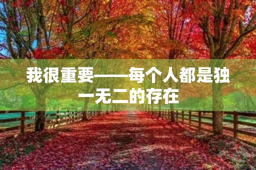我很重要——每个人都是独一无二的存在