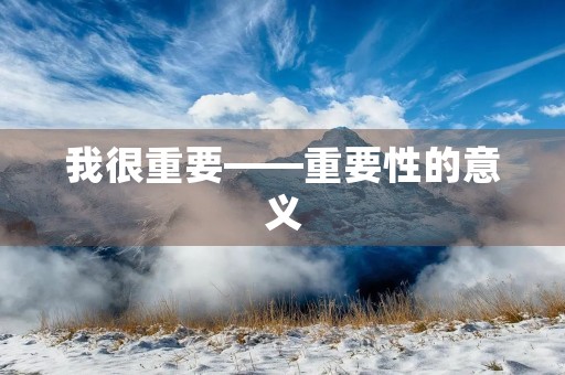 我很重要——重要性的意义