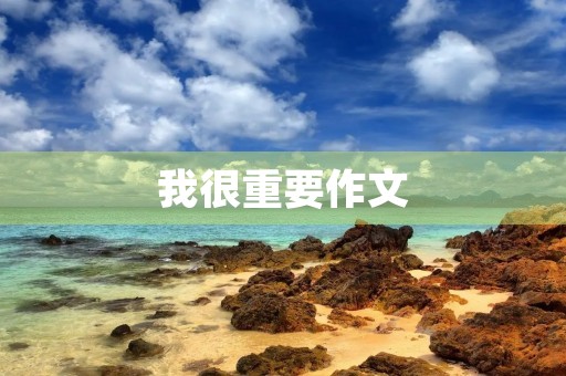 我很重要作文 我很重要作文