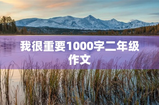 我很重要1000字二年级作文