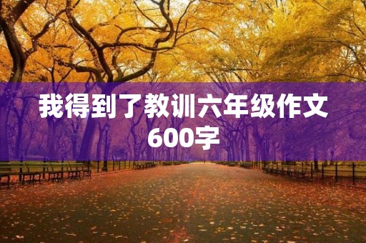 我得到了教训六年级作文600字 我得到了教训六年级作文600字
