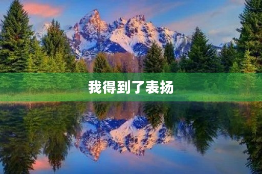 我得到了表扬，心情倍儿爽！