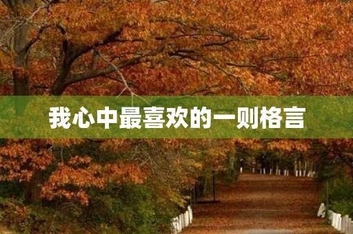 我心中最喜欢的一则格言 我心中最喜欢的一则格言