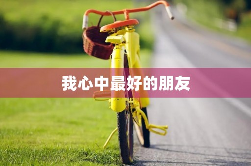 我心中最好的朋友