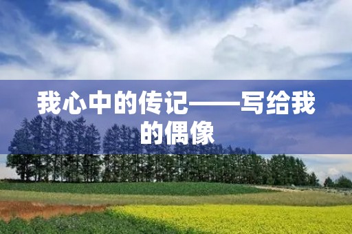 我心中的传记——写给我的偶像