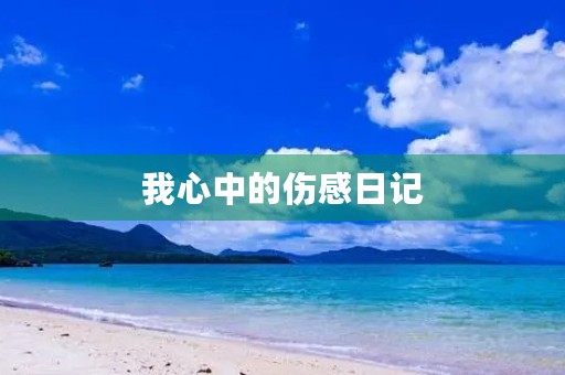 我心中的伤感日记