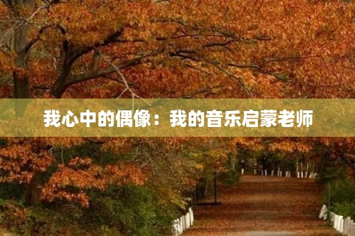 我心中的偶像：我的音乐启蒙老师
