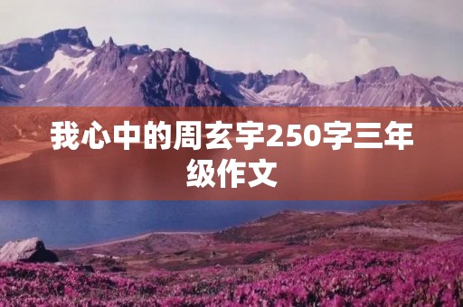 我心中的周玄宇250字三年级作文 我心中的周玄宇250字三年级作文