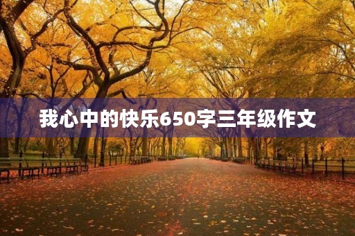 我心中的快乐650字三年级作文