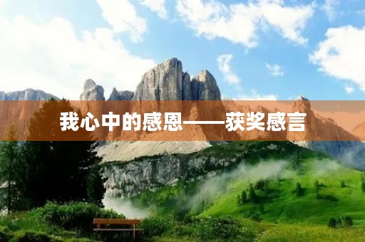 我心中的感恩——获奖感言