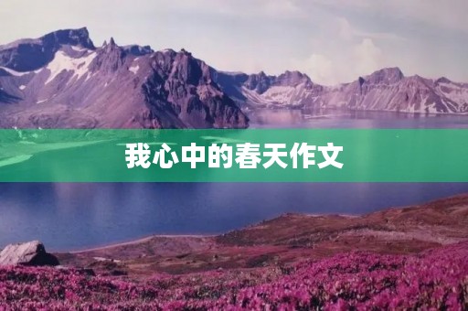 我心中的春天作文