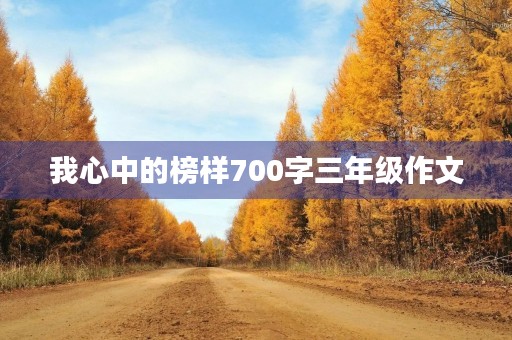 我心中的榜样700字三年级作文
