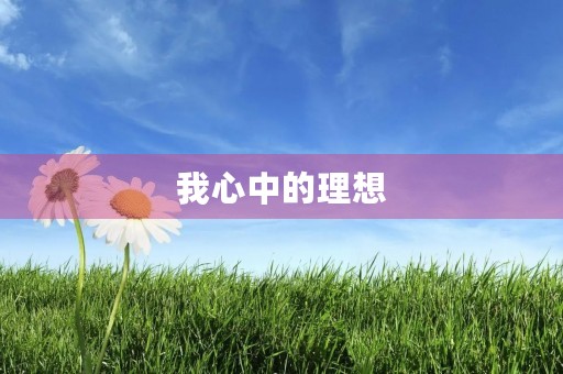 我心中的理想