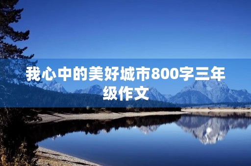 我心中的美好城市800字三年级作文