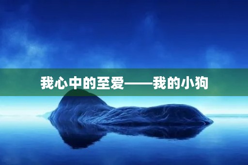 我心中的至爱——我的小狗 我心中的至爱——我的小狗