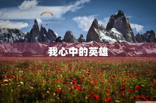 我心中的英雄