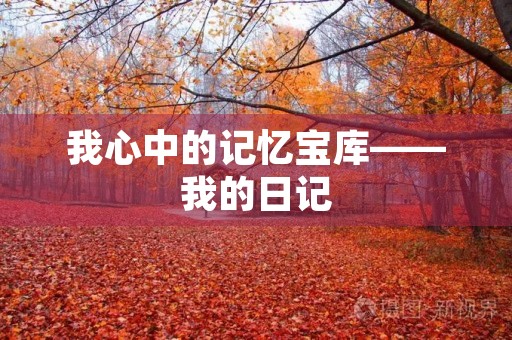 我心中的记忆宝库——我的日记
