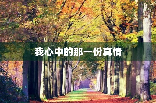 我心中的那一份真情