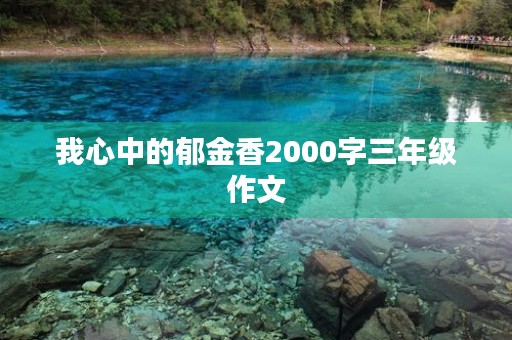 我心中的郁金香2000字三年级作文