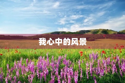 我心中的风景 我心中的风景