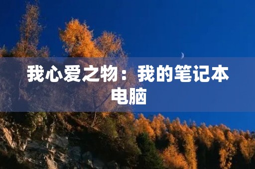 我心爱之物：我的笔记本电脑