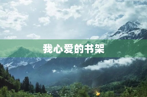 我心爱的书架 我心爱的书架