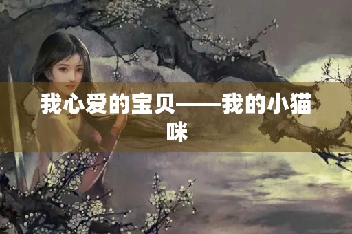 我心爱的宝贝——我的小猫咪 我心爱的宝贝——我的小猫咪
