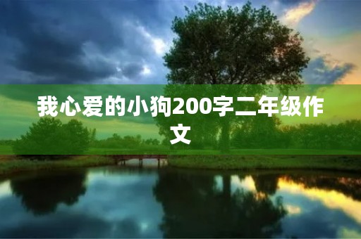 我心爱的小狗200字二年级作文