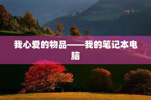 我心爱的物品——我的笔记本电脑 我心爱的物品——我的笔记本电脑