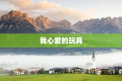 我心爱的玩具 我心爱的玩具