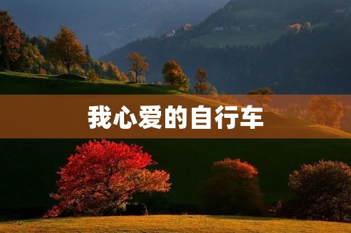 我心爱的自行车 我心爱的自行车
