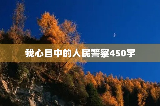 我心目中的人民警察450字