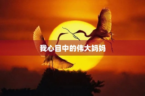 我心目中的伟大妈妈