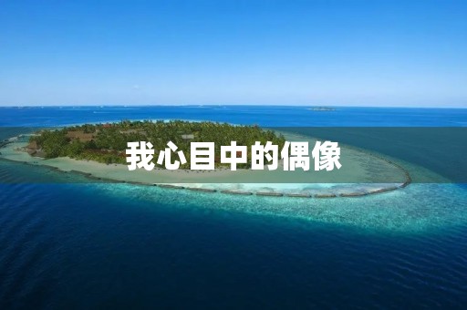 我心目中的偶像