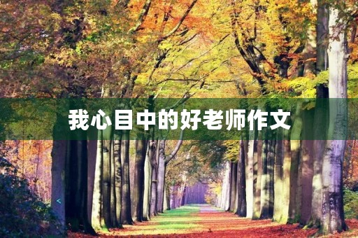 我心目中的好老师作文 我心目中的好老师作文