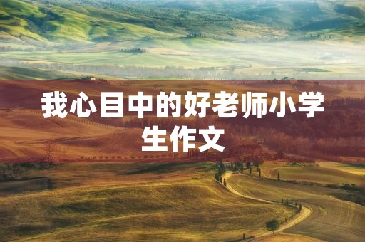 我心目中的好老师小学生作文 我心目中的好老师小学生作文