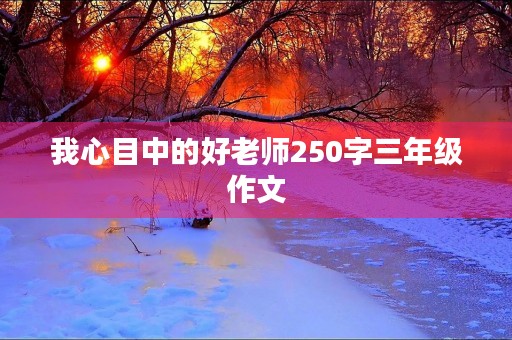 我心目中的好老师250字三年级作文