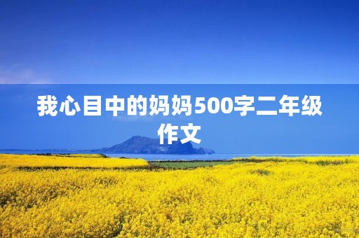 我心目中的妈妈500字二年级作文