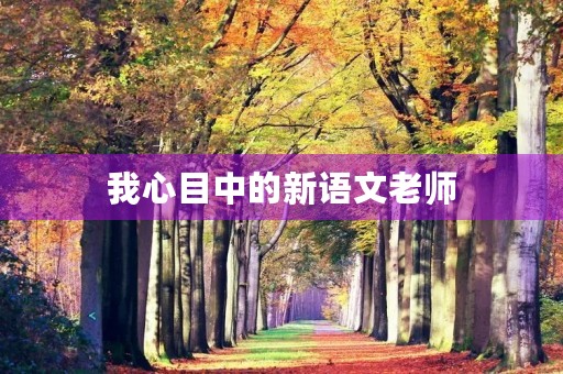 我心目中的新语文老师 我心目中的新语文老师