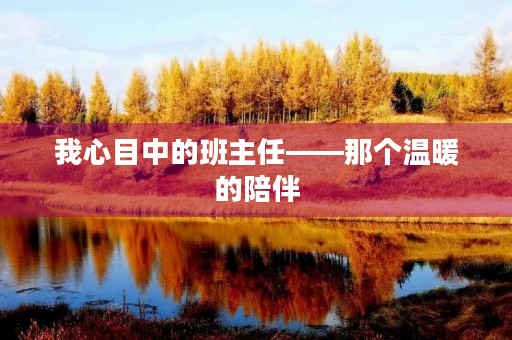 我心目中的班主任——那个温暖的陪伴 我心目中的班主任——那个温暖的陪伴