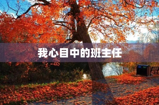 我心目中的班主任