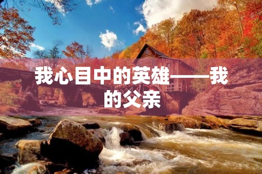 我心目中的英雄——我的父亲 我心目中的英雄——我的父亲