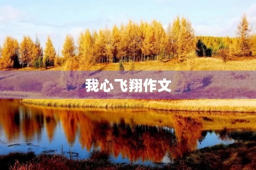 我心飞翔作文 我心飞翔作文
