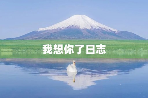 我想你了日志