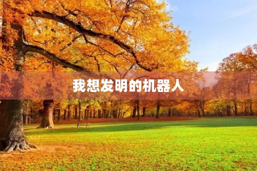 我想发明的机器人