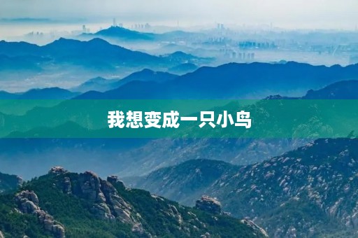 我想变成一只小鸟 我想变成一只小鸟