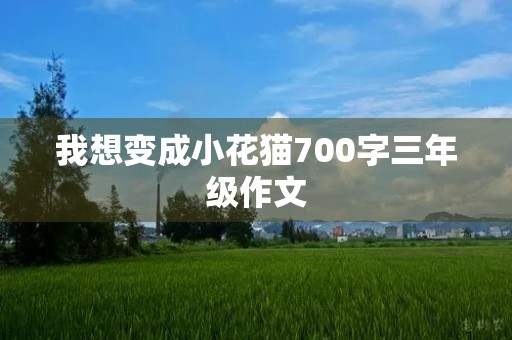 我想变成小花猫700字三年级作文