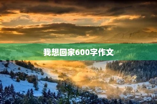 我想回家600字作文 我想回家600字作文