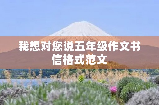 我想对您说五年级作文书信格式范文